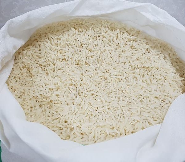 برنج کشت دوم ارگانیک فریدونکنار